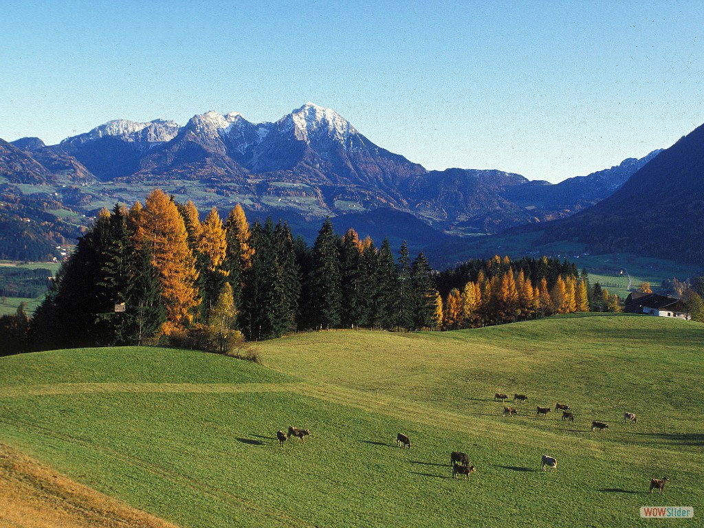 Haller Mauern v. Norden