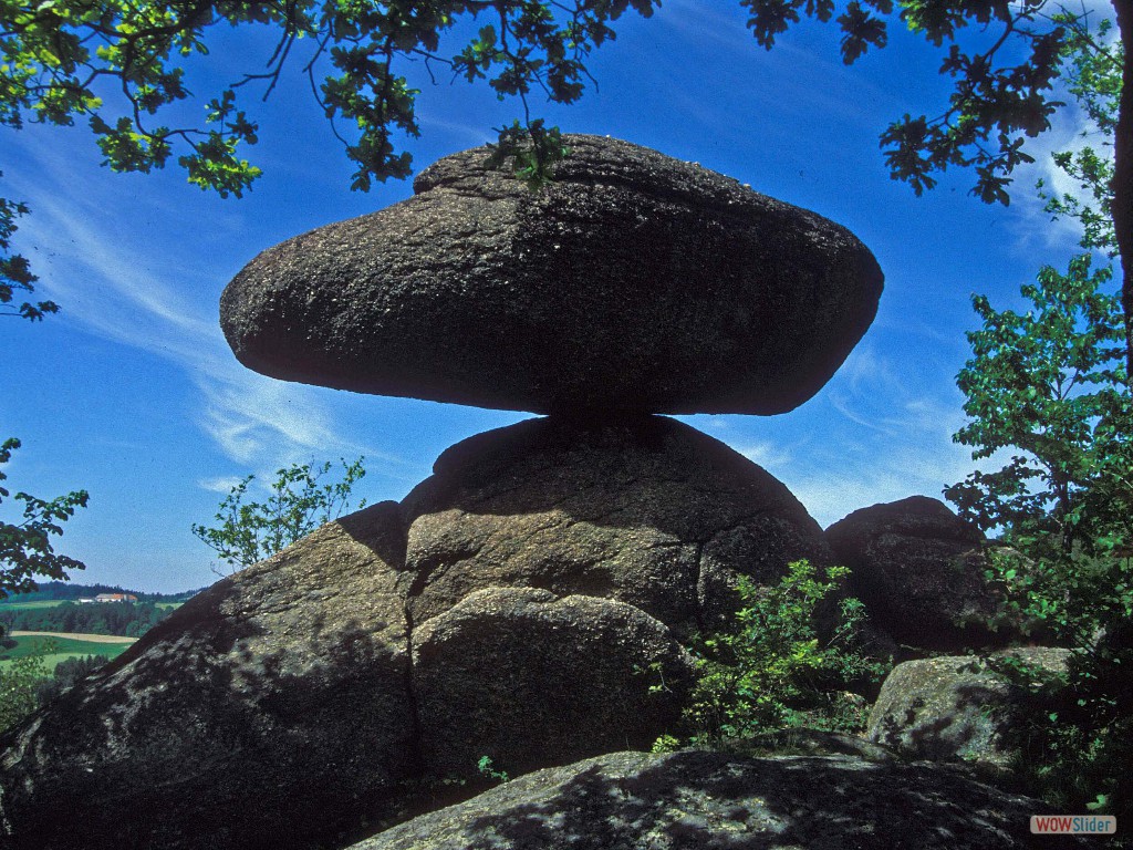 Mü085 Schwammerling,Rechbg.