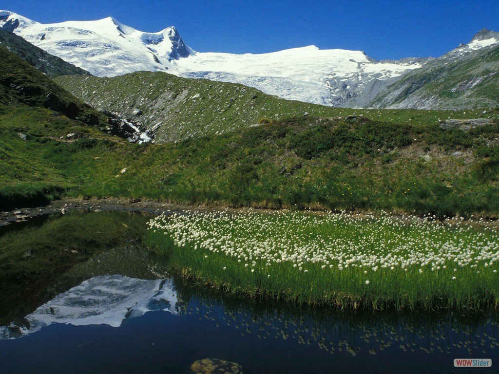 OT338 Auge Gottes, Großvenediger