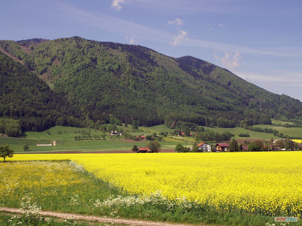 PICT8113Voralp. b.Micheldorf